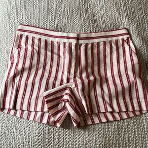 NWT Loft size 12 shorts